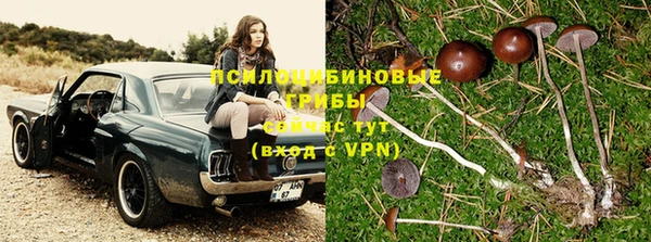 а пвп мука Алексеевка