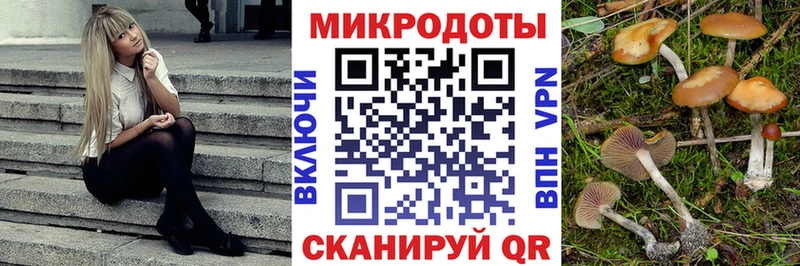 Галлюциногенные грибы Psilocybe  Амурск 